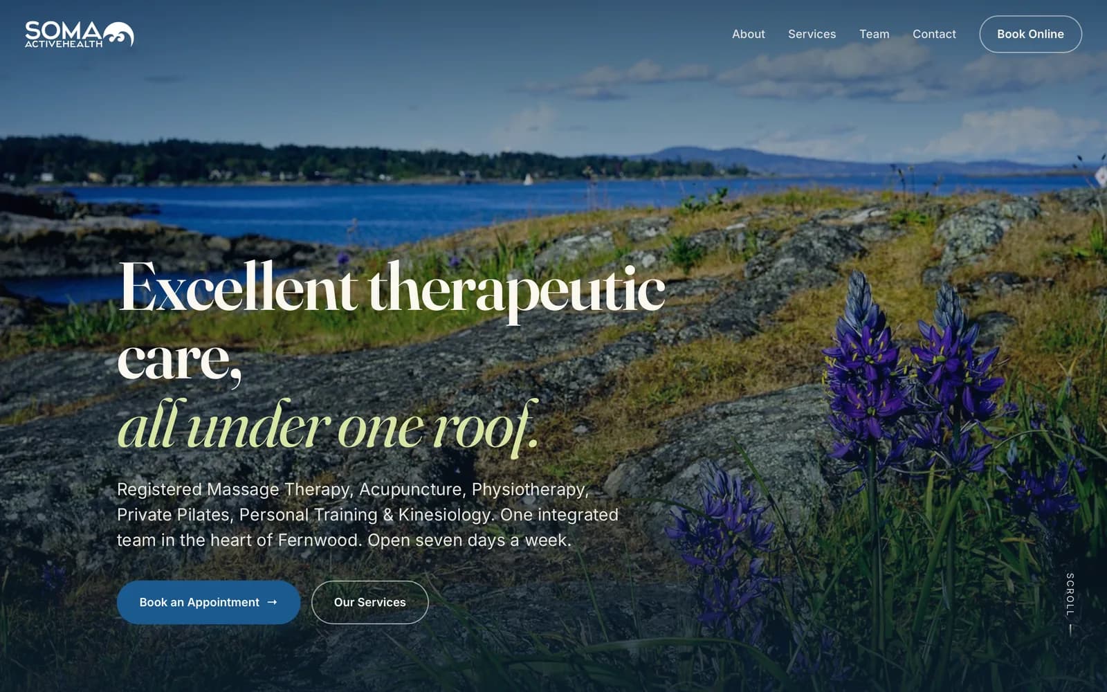 Soma Active Health website on desktop